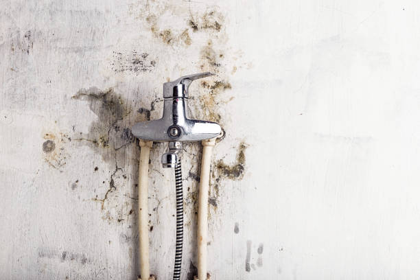Best Mold Remediation for Specific Building Types in Raymond, MS